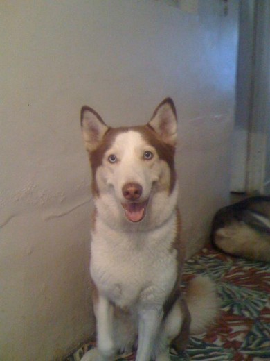 Bella Mi Princesa !!!